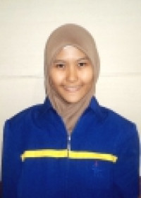Image of ANALISIS KARAKTERISTIK WEBSITE TERKAIT BUSINESS TO CONSUMER PADA GRAND ALPINE HOTEL