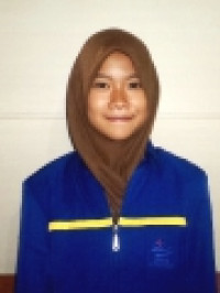 Image of ANALISIS VALUE CHAIN PRODUK MADU  STUDI KASUS PADA BIG  BEE FARM